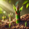 Environmental Designer Assistant